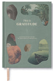 This is Gratitude Guided Journal