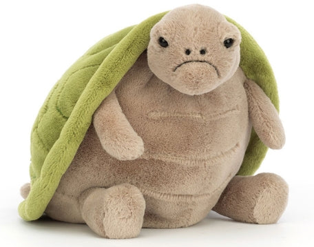 Plush turtle toy with a beige body, light green shell, and grumpy facial expression.