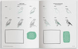 Open book showing illustrations of birds with step-by-step instructions.
