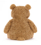 A brown plush bear, sitting upright.